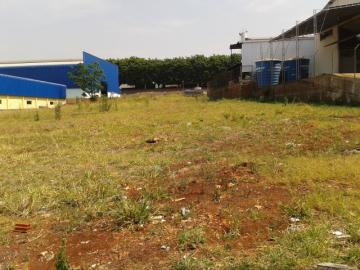Maringa Gleba Ribeirao Pinguim Comercial Locacao R$ 2.500,00  Area do terreno 2100.00m2 