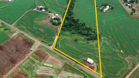 Maringa Jardim Alvorada Rural Venda R$8.710.000,00 4 Dormitorios  Area do terreno 162140.00m2 