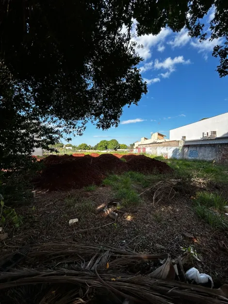 Maringa Jardim Sao Silvestre Comercial Locacao R$ 12.000,00  Area do terreno 3740.00m2 